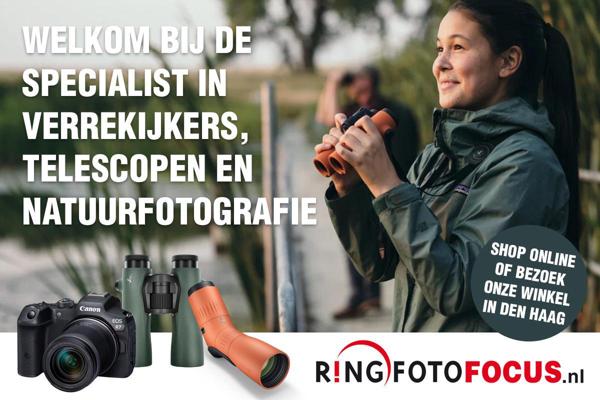 RingfotoFocus