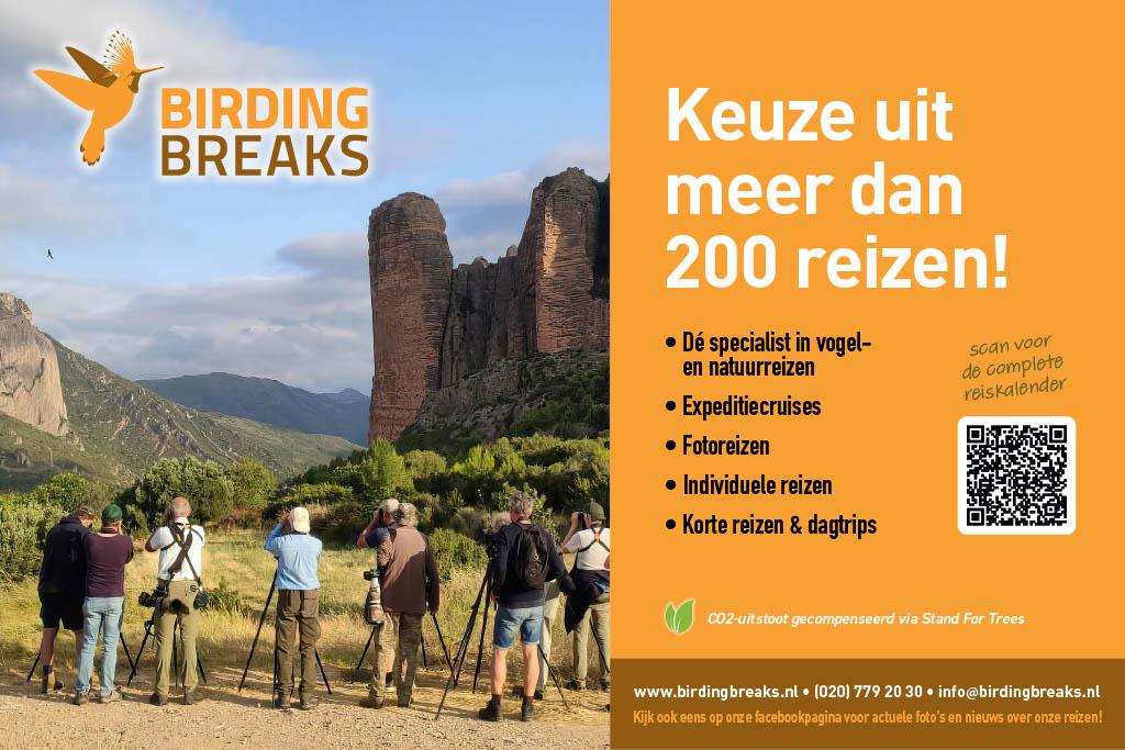 Birding Breaks